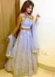 Blue Lehenga In Organza Paired With An Embroidered Net Blouse And Net Dupatta Online - Kalki Fashion