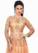 Peach Lehenga Embellished In Sequin Embroidery Online - Kalki Fashion