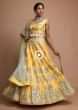 Blonde Yellow Lehenga Choli With Foil Printed Floral Buttis And Cut Dana Accents Online - Kalki Fashion