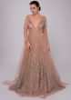 Champagne beige gown with bustier pattern bodice with trail back and sleeves 