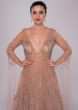 Champagne beige gown with bustier pattern bodice with trail back and sleeves 