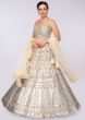 Champagne Cream Lehenga In Net With Applique Work And Matching Blouse Online - Kalki Fashion