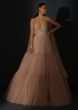 Champagne Tiered Gown With An Embellished Plunging V Cut Bodice And Shimmer Underlayer 