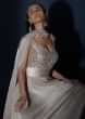 Champagne Gown In Crushed Shimmer With An Embellished Bodice Highlighting The Waistline And Fancy Cape
