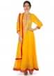 Chrome Yellow Anarkali Suit With Embroidered Placket And Kali Online - Kalki Fashion
