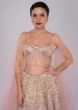 Dusty pink lehenga paired with multi paneled corset blouse  with attached net drape 