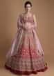 Fuschia Rose Lehenga Heavily Hand Embroidered In Scallop And Floral Jaal 