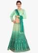 Green shaded lehenga paired with mint green blouse and matching net dupatta 
