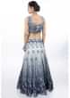 Grey shaded satin crepe  lehenga and blouse  in digital floral print with mint green net dupatta