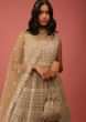 Hazel Beige Anarkali Suit In Net With Resham Embroidery All Over Along With Mirror Accents