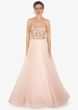 Ice Pink Corset Gown In Net With Fancy Cape Highlighted In Feathers Online - Kalki Fashion