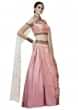 Pink lehenga enhanced in drape and slit sleeve only on Kalki