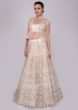 Lace pink net lehenga with bustier and peplum jacket in abla work