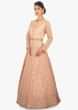 Light peach anarkali gown in thread work along with cut dana and sequins