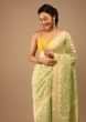 Lily Green Saree In Pure Handloom Cotton With Banarasi Chanderi Weave