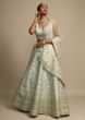 Mint Green Lehenga Choli In Raw Silk With Zari And Moti Embroidered Floral Jaal Online - Kalki Fashion