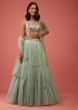 Mint Green Lehenga In Organza With A Heavily Embroidered Crop Top In Mirror Work