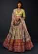 Multi Colored Lehenga In Silk With Colorful Floral Print And Pink Patola Border 