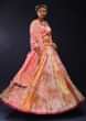 Multi Colored Panel Lehenga In Pastel Hues With Floral Print And Gotta Lace Embroidery