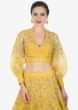 Mustard Yellow Lehenga Choli In Organza With Floral Embroidery Online - Kalki Fashion