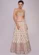Off white lehenga in foil printed butti with pink net dupatta