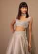 Oyster Organza Layered Skirt With Sleeveless Hand Embroidered Crop Top 