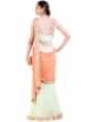 Pastel Green & Orange Drape Gown Saree