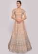 Peach and blue shaded raw silk lehenga paired with matching embroidered blouse and net dupatta