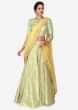 Light green brocade lehenga with a ready styled dupatta in yellow only on Kalki