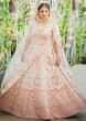 Pink Cream Lehenga Adorn In Floral Embroidered Jaal Online - Kalki Fashion
