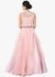 Pink satin and art organza net  gown with sheer yoke