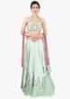 Pista green  lehenga paired with halter neck embroidered blouse and pink net dupatta