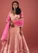 Powder Pink Lehenga In Silk With Tomb And Floral Print And Hand Embroidery Detailing