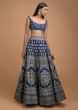 Navy Blue Lehenga Choli With Foil Print In Framed Floral Motif And Heritage Pattern 