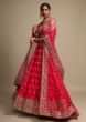 Rani Pink Lehenga Choli With Resham Embroidered Floral Border And Sequins Buttis 
