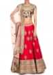 Rani Pink Lehenga With Resham Embroidered Blouse Online - Kalki Fashion