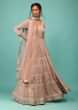 Rose Smoke Pink Anarkali Suit Fully Embroidered In Chikankari With Sequins & Thread