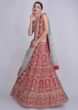 Rosewood Red Lehenga With Matching Blouse In Raw Silk And Mint Blue Net Dupatta 