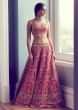 Rosewood Red Lehenga With Matching Blouse In Raw Silk And Mint Blue Net Dupatta 