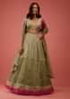 Sage Green Lehenga Choli With Sequins Embroidery And Contrasting Magenta Border And Sleeve Detailing