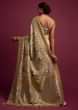 Sand Beige Banarasi Saree In Georgette With Weaved Floral Jaal All Over