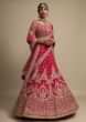 Sangria Pink Lehenga Choli With Thread Embroidered Heritage Floral Kalis 