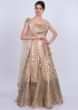 Vintage beige hard net lehenga adorn with self lurex patch work in embroidery and butti only on Kalki
