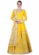 Adah Sharma in Kalki Yellow Silk Gown and Net Dupatta in Gotta Lace Work