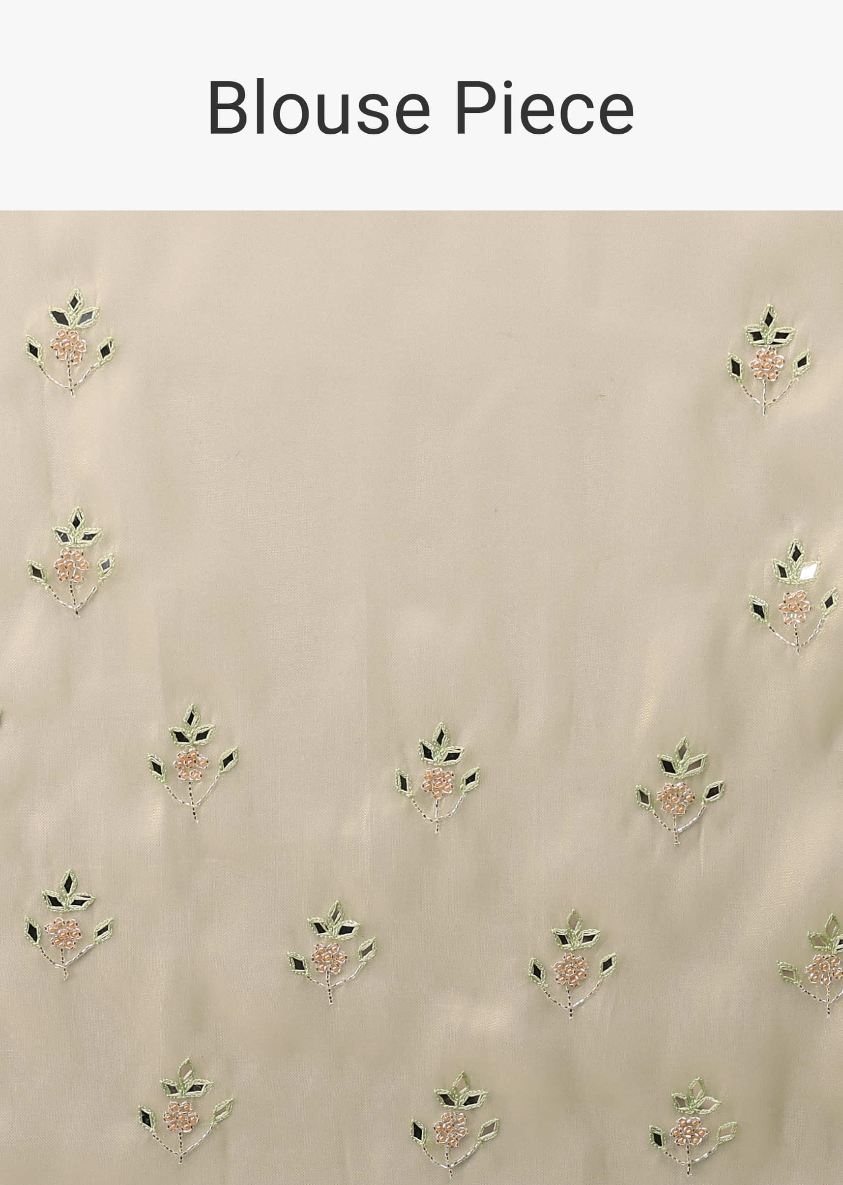 Foam Green Tissue Saree In Mirror Abla Embroidery Buttis, Border Has Embroidery Detailing In Mirror Abla