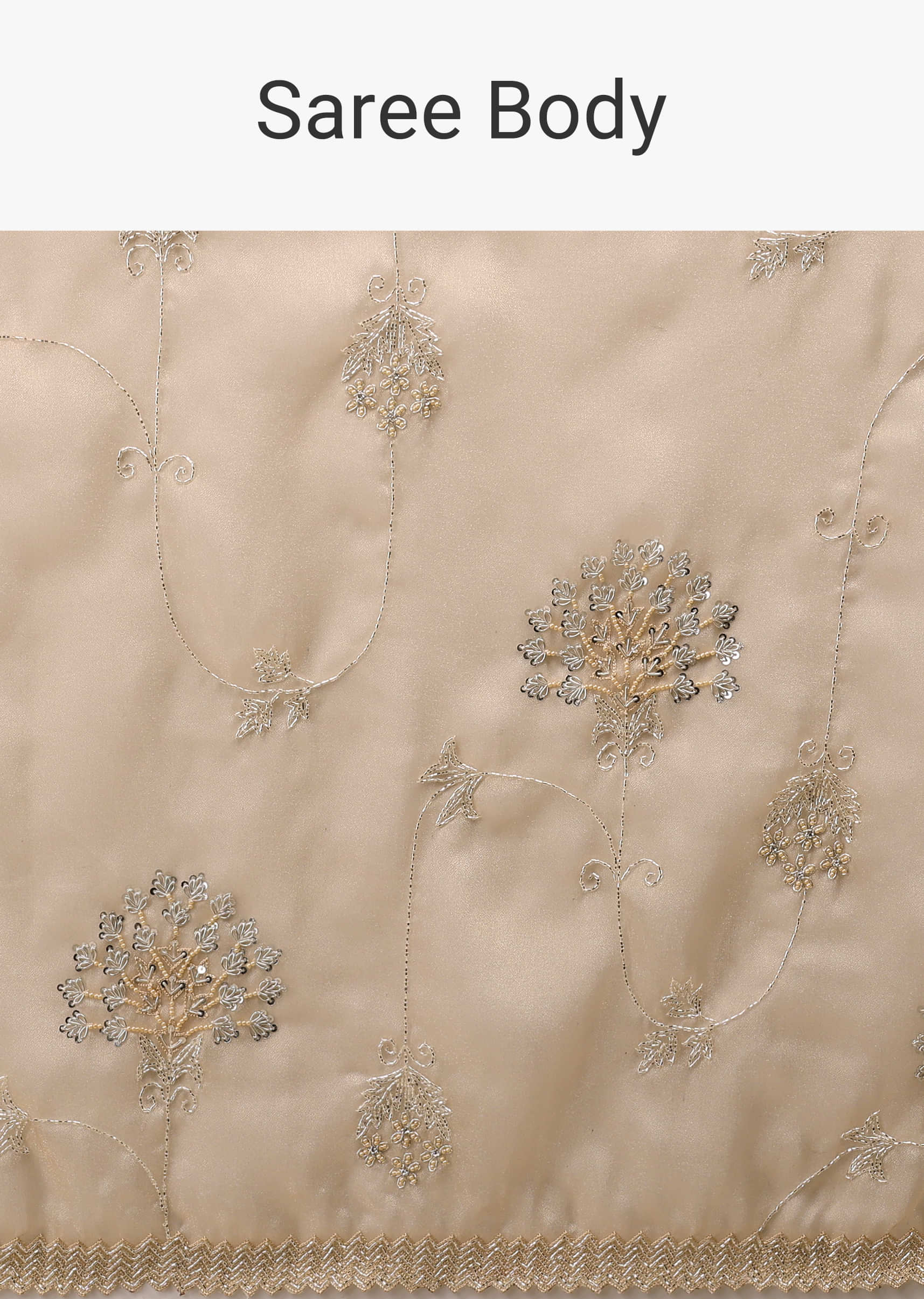 Frosted Almond Tissue Saree In Zardozi Embroidery Buttis, Leafy Motifs Embroidery Detailing On Border 