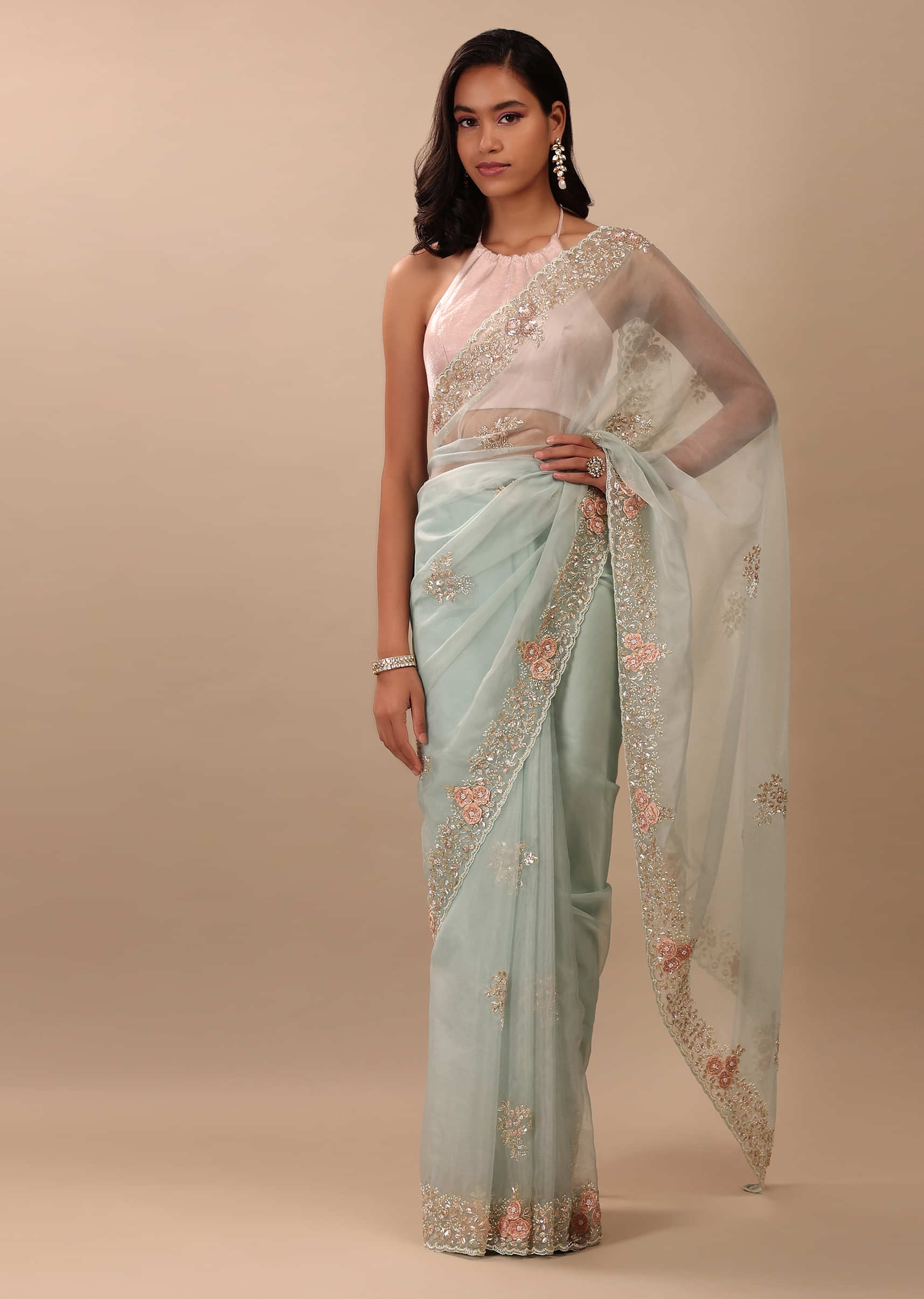 Sky Blue Saree In Organza With 3D Floral Embroidery In Pearls And Cut Dana