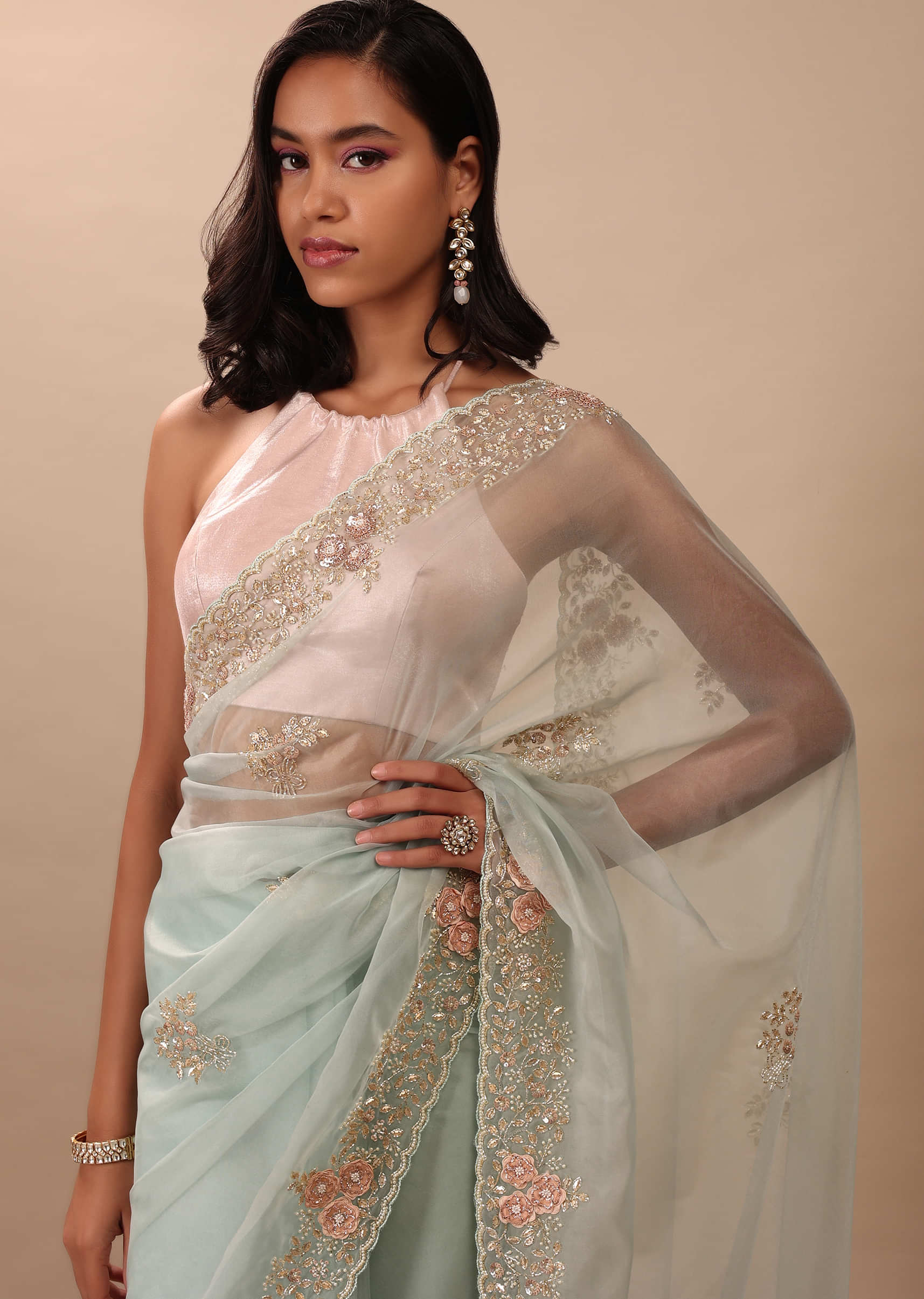 Sky Blue Saree In Organza With 3D Floral Embroidery In Pearls And Cut Dana