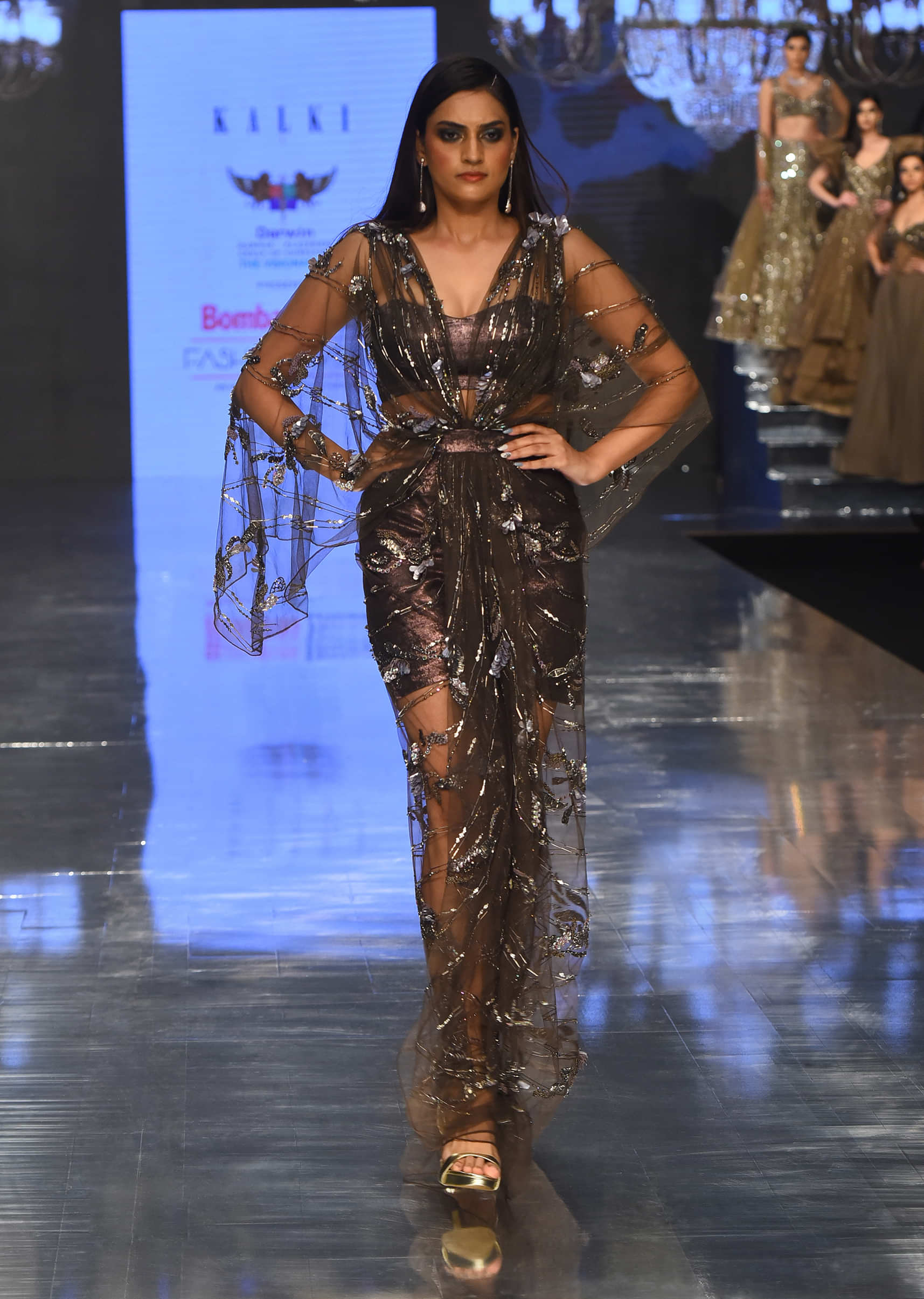 Dark Brown Gown In Net With Embroidery - NOOR 2022