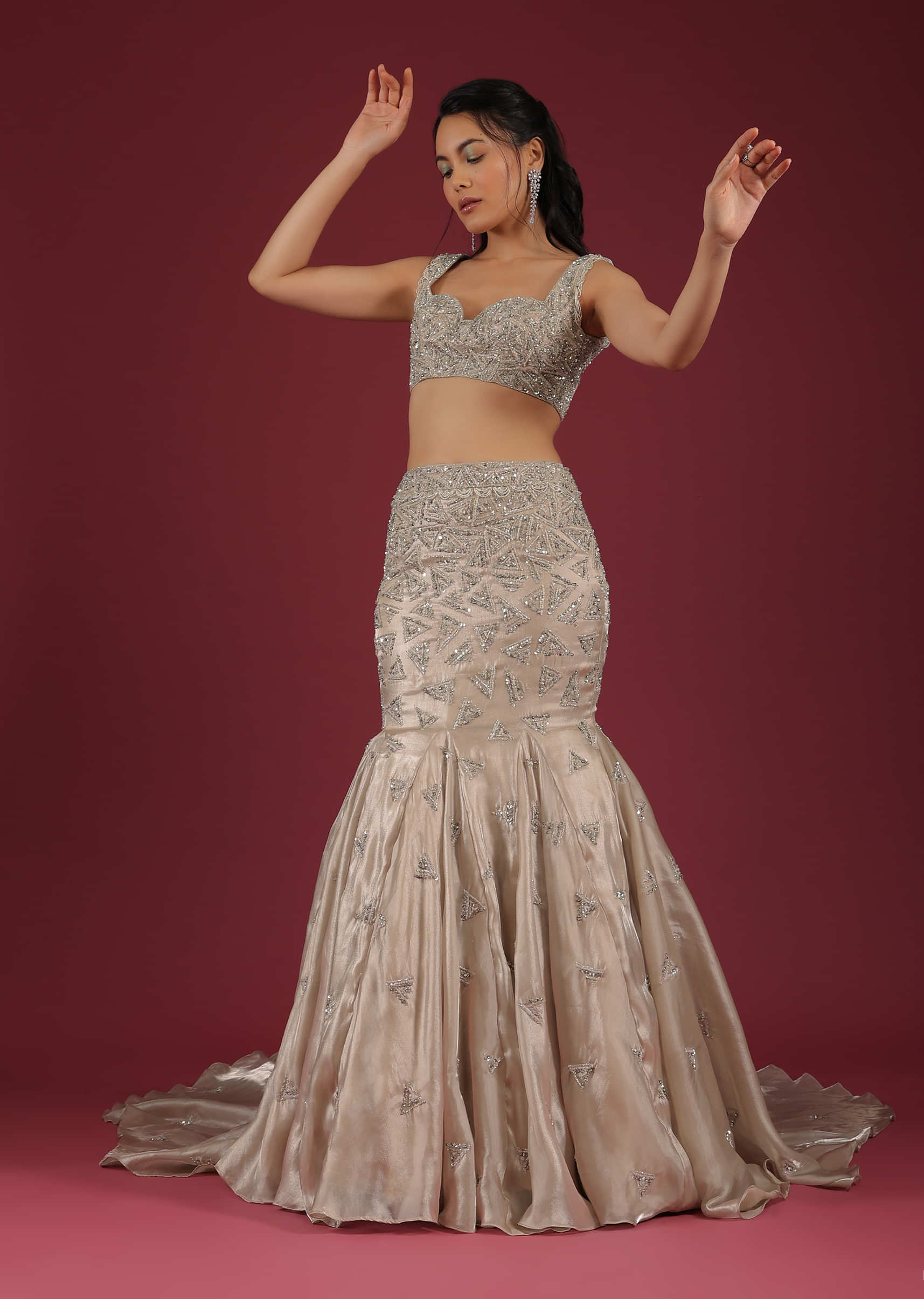 Organza Oyster Mermaid Lehenga With A Stone Motif Veil And Crop Top